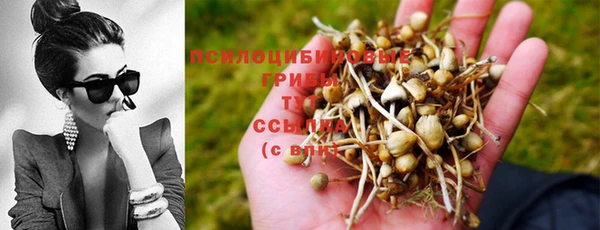 тгк Алексеевка