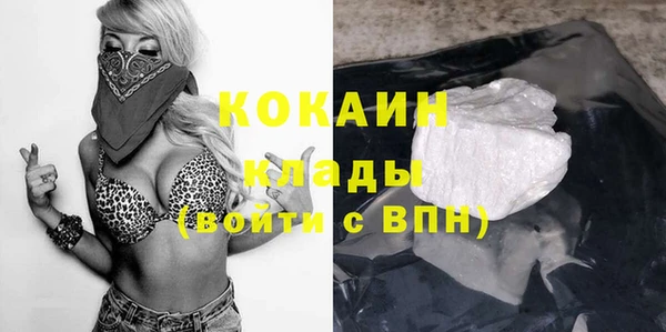 шишки Абаза